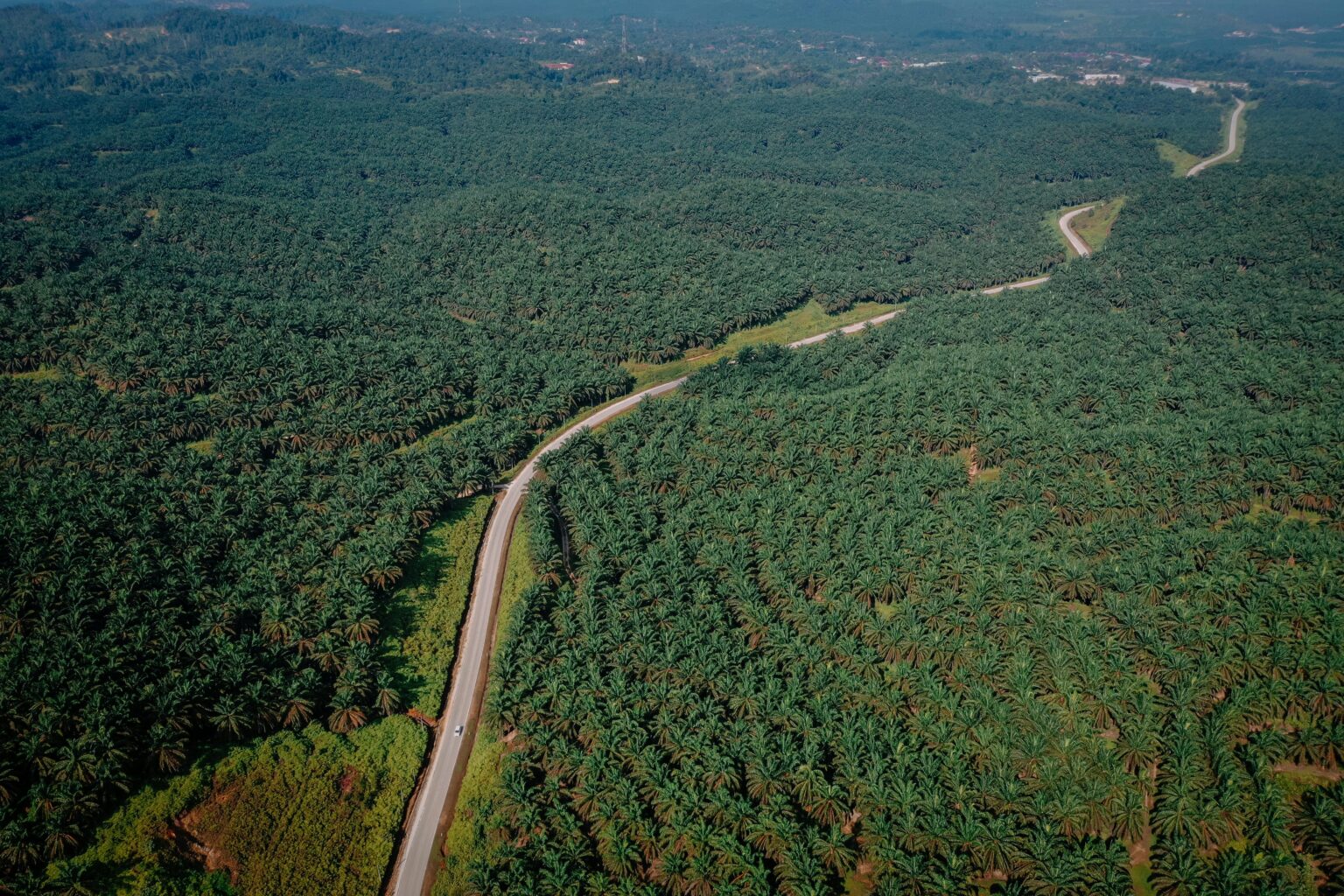 pexels-pok-rie-12699277